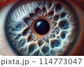 close up of eye 114773047