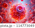 red blood cell in blood cells 114773049