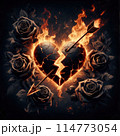 concept of burning fire in the flame 114773054