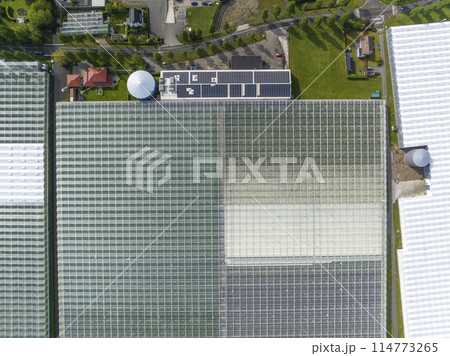Wide Squaresd of Greenhouses located in the Netherlands, Aerial Drone view. Green Glasshouses near to Monster, Hague. Wide Squaresd of Greenhouses located in the Netherlands, Aerial Drone view. Green Glasshouses near to Monster, Hague. 114773265