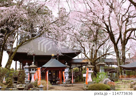 崇真寺 崇真寺 114773636