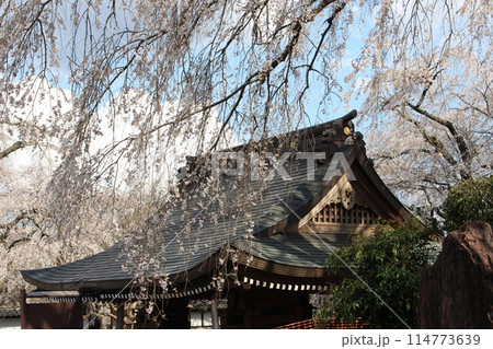 崇真寺 崇真寺 114773639