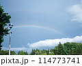 森に架かる二重の虹 114773741
