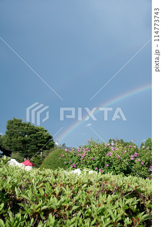 函館市民の森公園と二重の虹 114773743