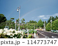 紫陽花と二重の虹 114773747