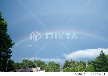 森に架かる二重の虹 114773751