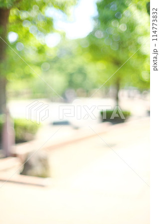 緑の映える明るい遊歩道をやわらかくボカした背景素材 緑の映える明るい遊歩道をやわらかくボカした背景素材 114773832