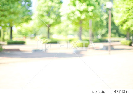 緑の映える明るい遊歩道をやわらかくボカした背景素材 緑の映える明るい遊歩道をやわらかくボカした背景素材 114773853