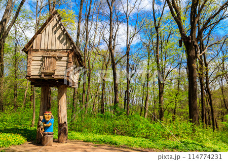 Wooden fairytale house of Baba Yaga in the Krasnokutsk park, Kharkiv region, Ukraine 114774231
