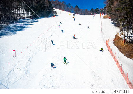 美しい雪山と晴天のゲレンデ 美しい雪山と晴天のゲレンデ 114774331