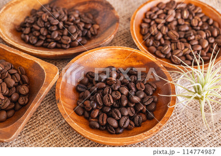 コーヒー豆 ロブスタ種とアラビカ種 コーヒー豆 ロブスタ種とアラビカ種 114774987