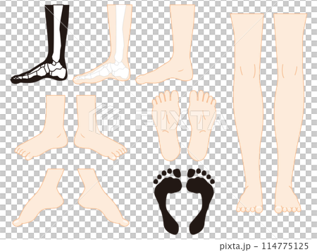 leg leg 114775125