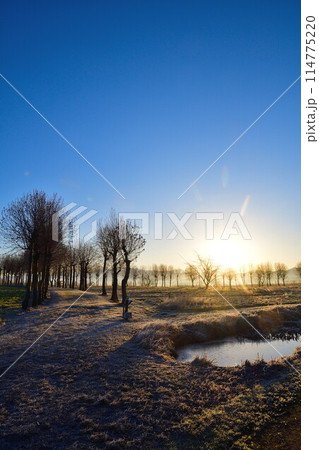 朝の福島潟（新潟県） 114775220