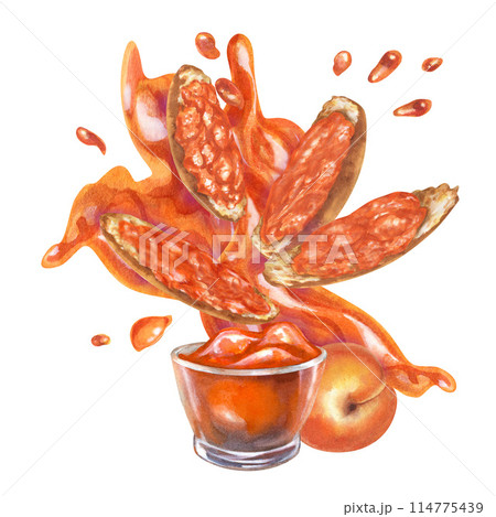 Apricot orange jam on a piece of bread, poured in waves and splashes. Watercolor illustration for design templates of sweet harvest, summer fruits, juices, canned food, marmalade and sweets 114775439