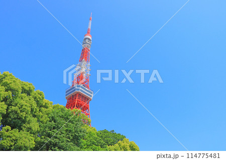 東京都港区、東京タワーと新緑の風景 東京都港区、東京タワーと新緑の風景 114775481