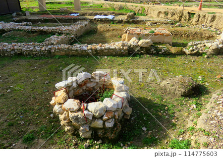 Complutum Roman Ruins 114775603