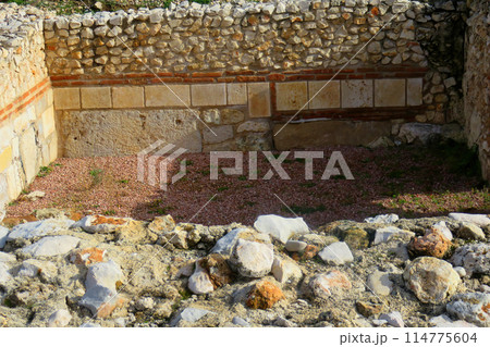 Complutum Roman Ruins 114775604