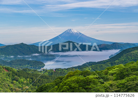 《神奈川県》新緑の箱根から富士山 114775626