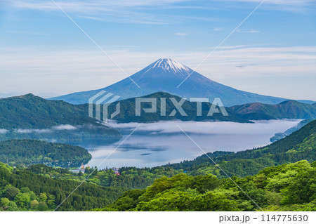 《神奈川県》新緑の箱根から富士山 《神奈川県》新緑の箱根から富士山 114775630
