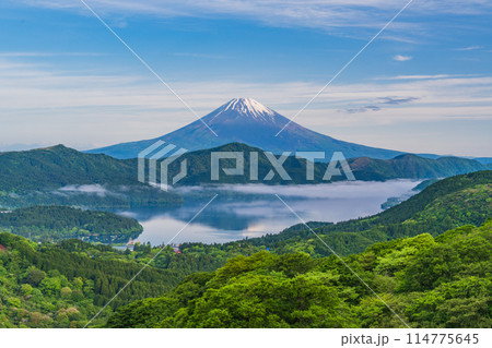 《神奈川県》新緑の箱根から富士山 114775645