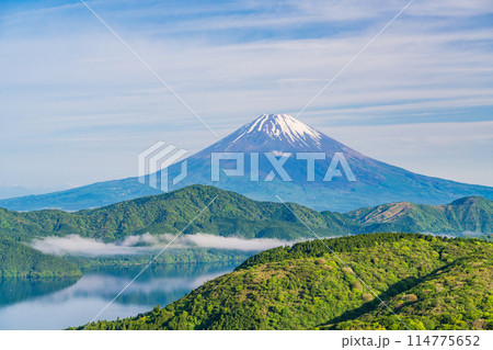 《神奈川県》新緑の箱根から富士山 114775652