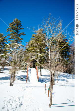 晴天の雪山で眺める美しい風景 晴天の雪山で眺める美しい風景 114775725
