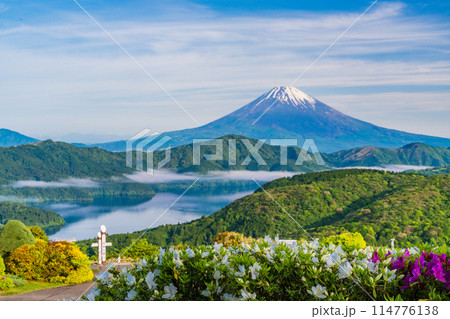 《神奈川県》ツツジ咲くの箱根大観山展望台から富士山 114776138