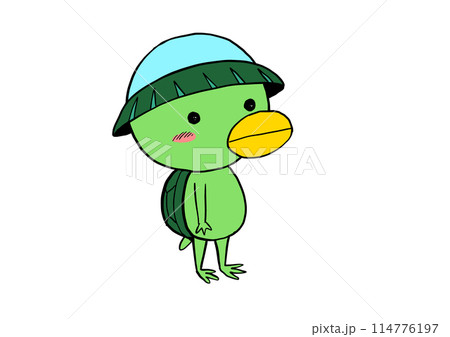 カッパの送りものイラスト 114776197