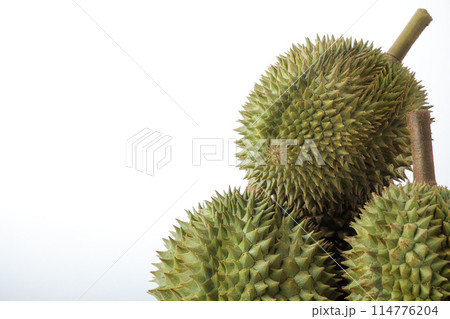 Close-up Photography Ripe durian, both pods and stalks, on isolated white background. Close-up Photography Ripe durian, both pods and stalks, on isolated white background. 114776204