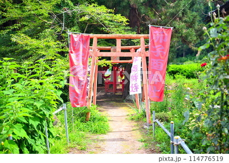 東北・遠野・卯子酉様(卯子酉神社)・二つ続く鳥居が印象的な境内入口の風景・岩手県遠野市(1) 114776519