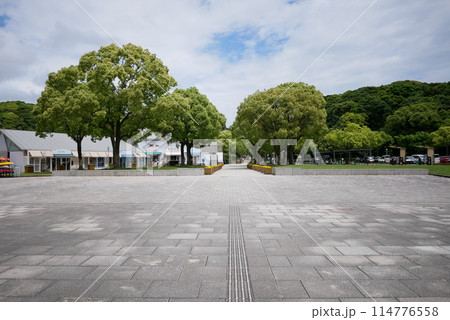 観光施設前の美しい風景 観光施設前の美しい風景 114776558