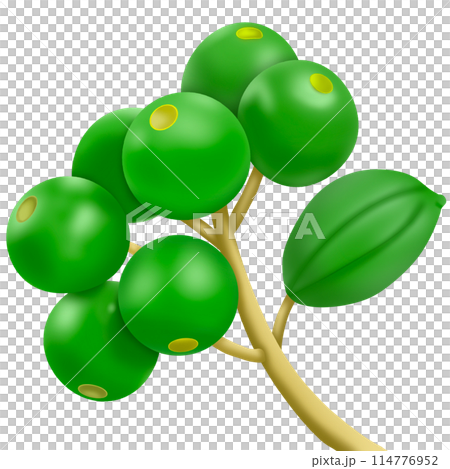 green olives with leaves green olives with leaves 114776952