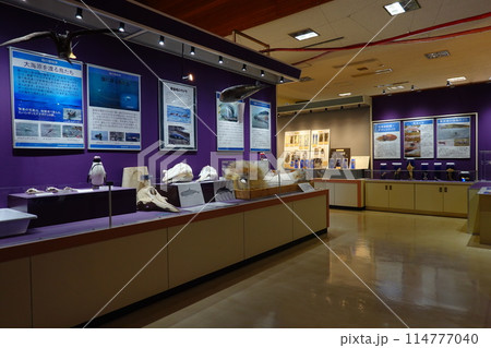 観音崎自然博物館 114777040