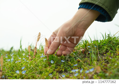 春の風景 春の風景 114777162