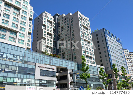 韓国 オフィステルが立ち並ぶ風景 韓国 オフィステルが立ち並ぶ風景 114777480