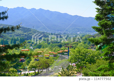 ソウル大公園とスカイリフト【韓国果川市】 114777502
