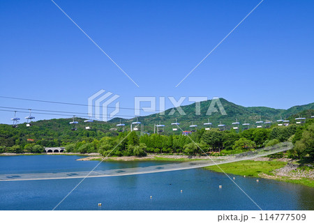 ソウル大公園・果川貯水池とスカイリフト【韓国果川市】 ソウル大公園・果川貯水池とスカイリフト【韓国果川市】 114777509