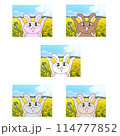 野うさ、登山うさぎ、ハイキングうさぎ、ゆるキャラうさぎ、うさぎのかわいいイラストセット 114777852