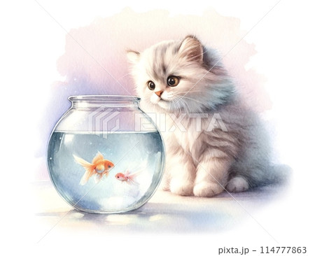金魚鉢を見つめる子猫 114777863