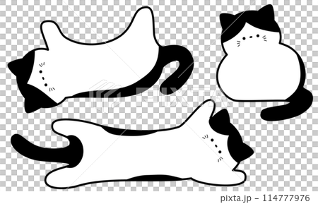 可愛八件貓架 3 件組（帶邊緣） 114777976