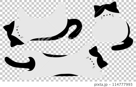 かわいいハチワレ猫のフレームセット3 114777993