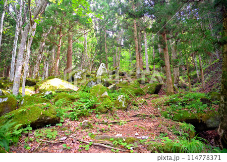 東北・遠野・五百羅漢・その数五百体、山道を進むと見えてくる無数の羅漢像・岩手県遠野市(4) 東北・遠野・五百羅漢・その数五百体、山道を進むと見えてくる無数の羅漢像・岩手県遠野市(4) 114778371