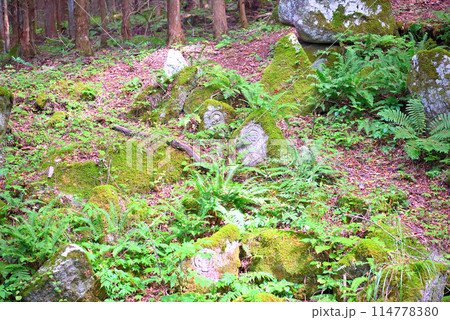 東北・遠野・五百羅漢・飢饉の犠牲者の供養のために彫られた、見渡す限りの羅漢像・岩手県遠野市(1) 東北・遠野・五百羅漢・飢饉の犠牲者の供養のために彫られた、見渡す限りの羅漢像・岩手県遠野市(1) 114778380