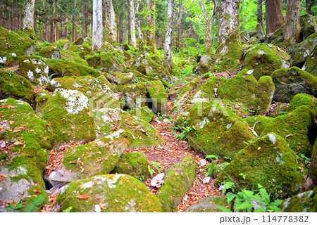 東北・遠野・五百羅漢・飢饉の犠牲者の供養のために彫られた、見渡す限りの羅漢像・岩手県遠野市(2) 114778382