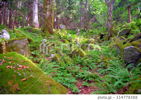 東北・遠野・五百羅漢・飢饉の犠牲者の供養のために彫られた、見渡す限りの羅漢像・岩手県遠野市(3) 東北・遠野・五百羅漢・飢饉の犠牲者の供養のために彫られた、見渡す限りの羅漢像・岩手県遠野市(3) 114778388