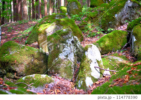 東北・遠野・五百羅漢・犠牲者の冥福を祈りながら彫られたと伝わる羅漢(仏弟子)の姿・岩手県遠野市(8) 東北・遠野・五百羅漢・犠牲者の冥福を祈りながら彫られたと伝わる羅漢(仏弟子)の姿・岩手県遠野市(8) 114778390