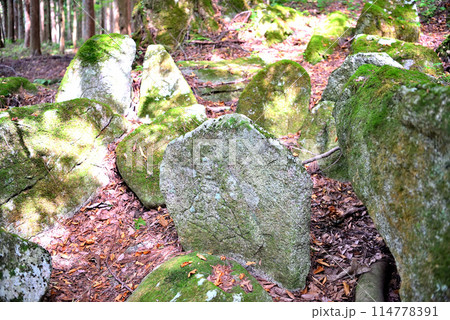 東北・遠野・五百羅漢・犠牲者の冥福を祈りながら彫られたと伝わる羅漢(仏弟子)の姿・岩手県遠野市(9) 東北・遠野・五百羅漢・犠牲者の冥福を祈りながら彫られたと伝わる羅漢(仏弟子)の姿・岩手県遠野市(9) 114778391