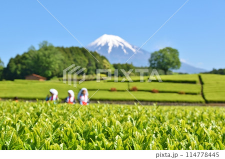 晴天のおおぶちお茶まつり　静岡 114778445