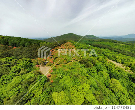 徳仙丈山のツツジ　空撮 114778485