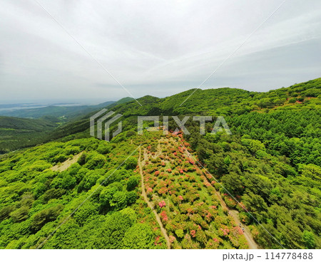 徳仙丈山のツツジ　空撮 114778488